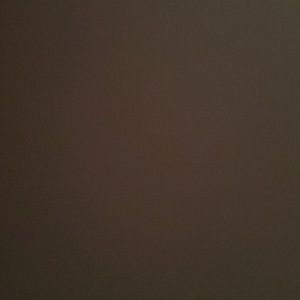 Meet your Posher, Shelly